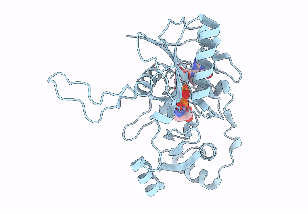 7ULF image