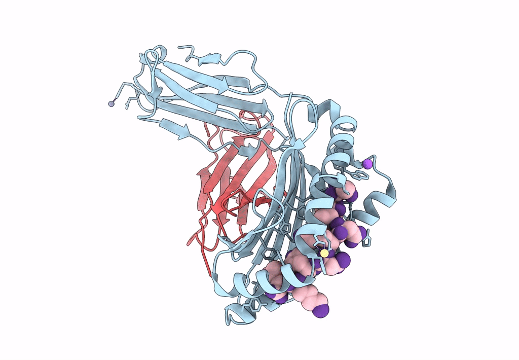 7UM2 image