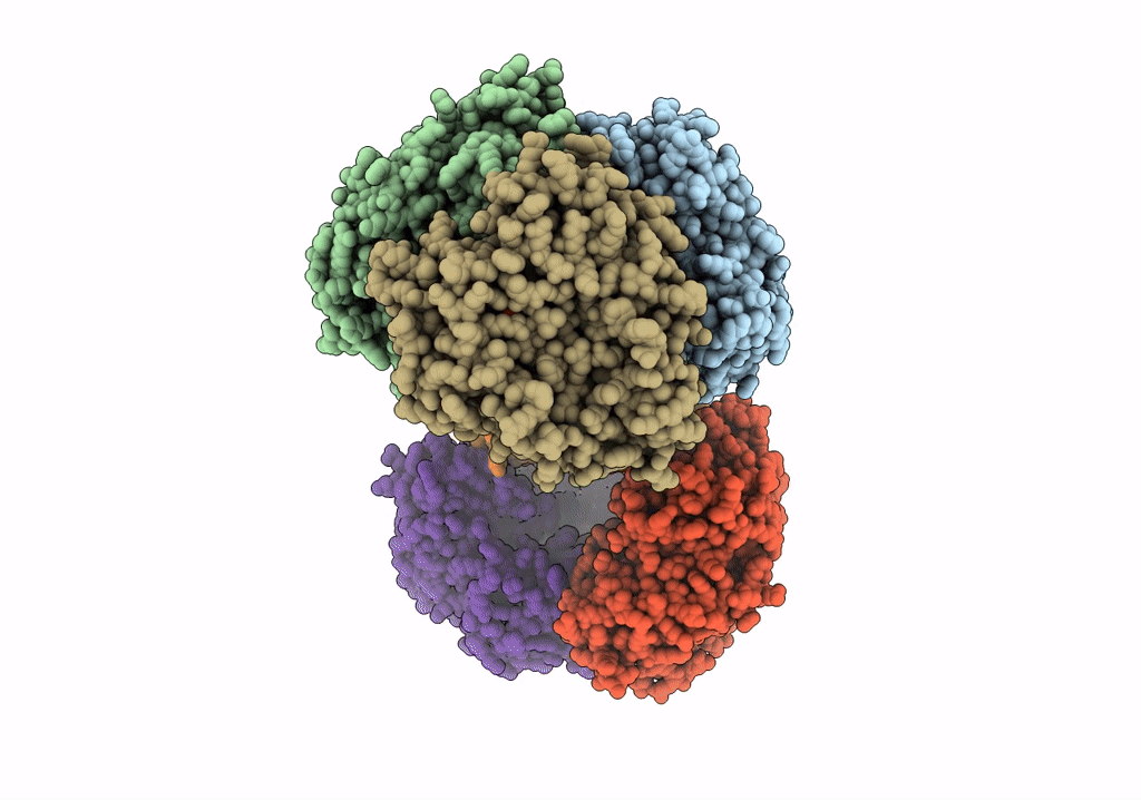 7UOR image