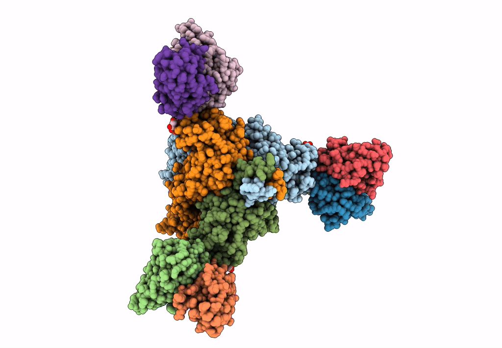 7UPB image