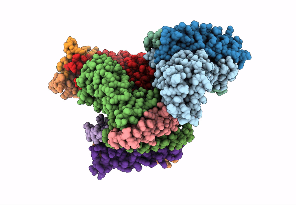 7UPQ image
