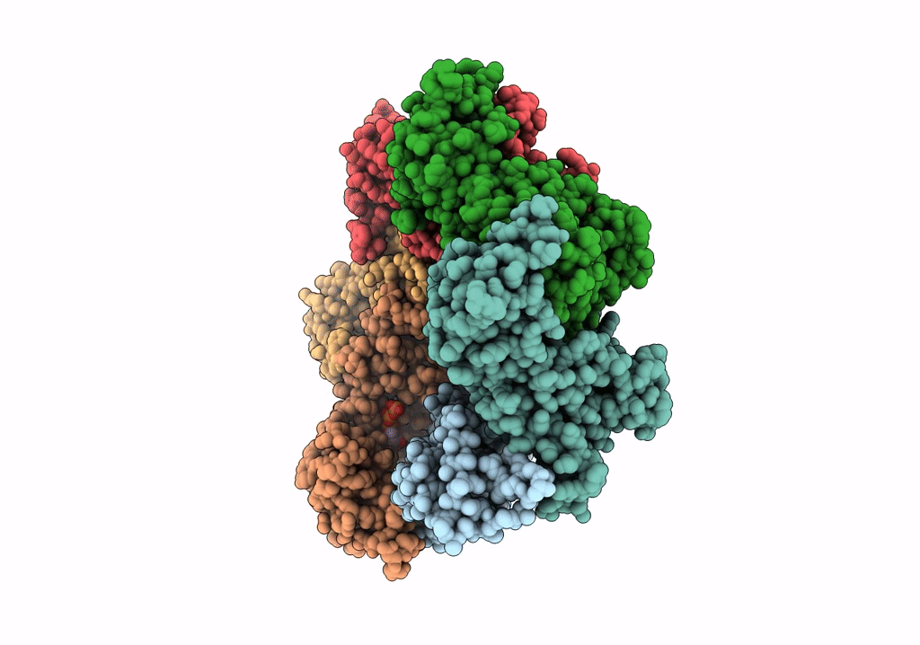 7UPR image