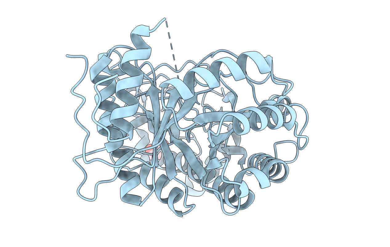7UPV image