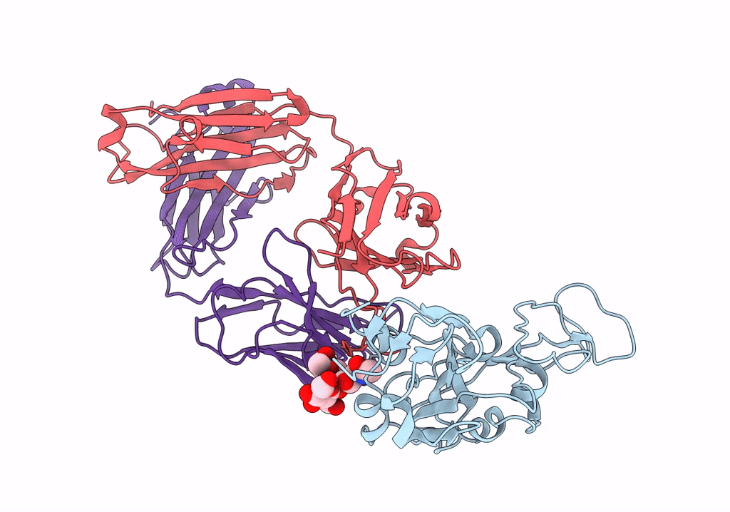 7UPX image