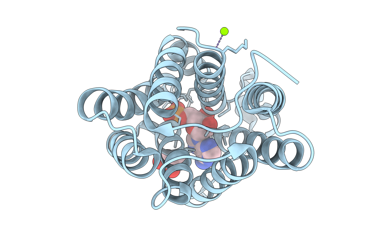 7UQ1 image
