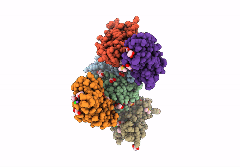 7USI image