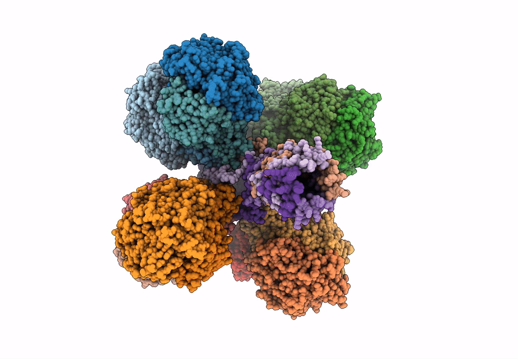 7UUS image