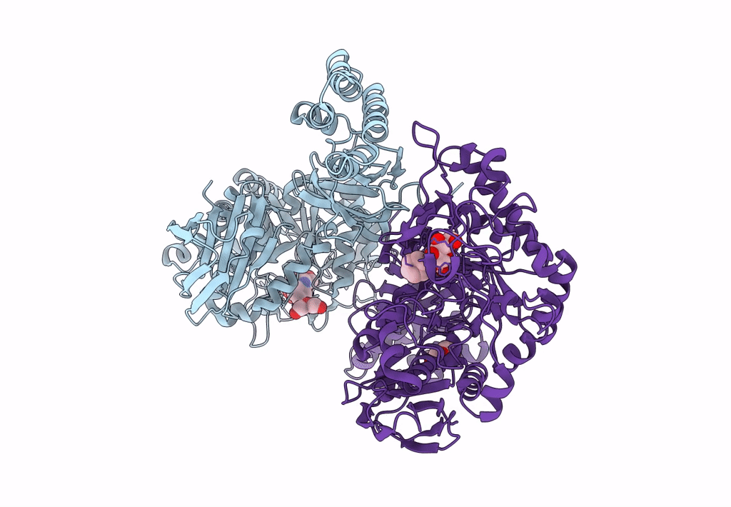 7UVD image
