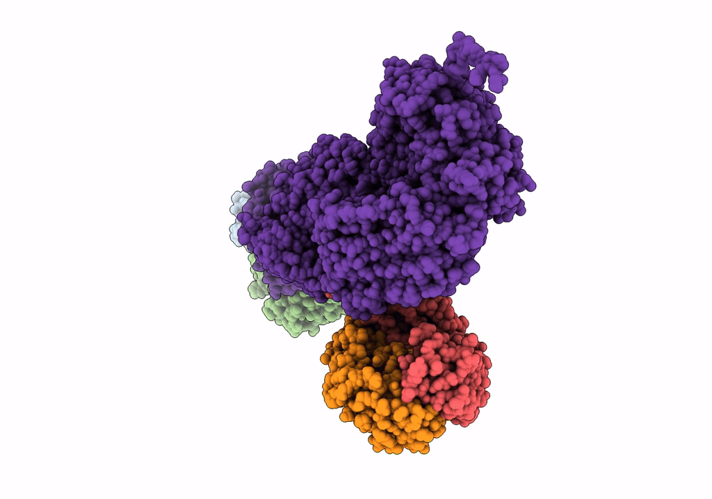 7UVL image