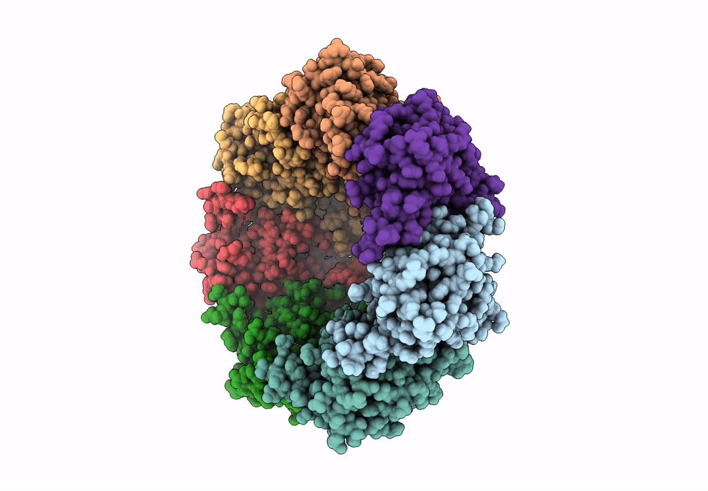 7UVM image