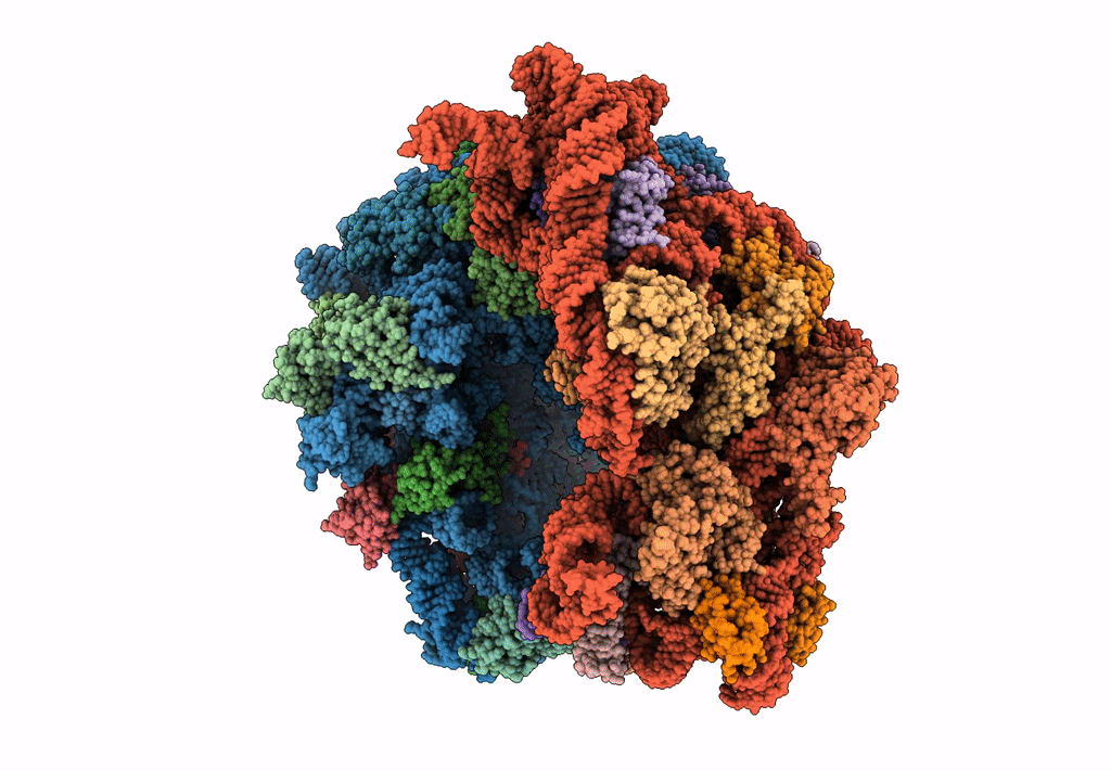 7UVX image