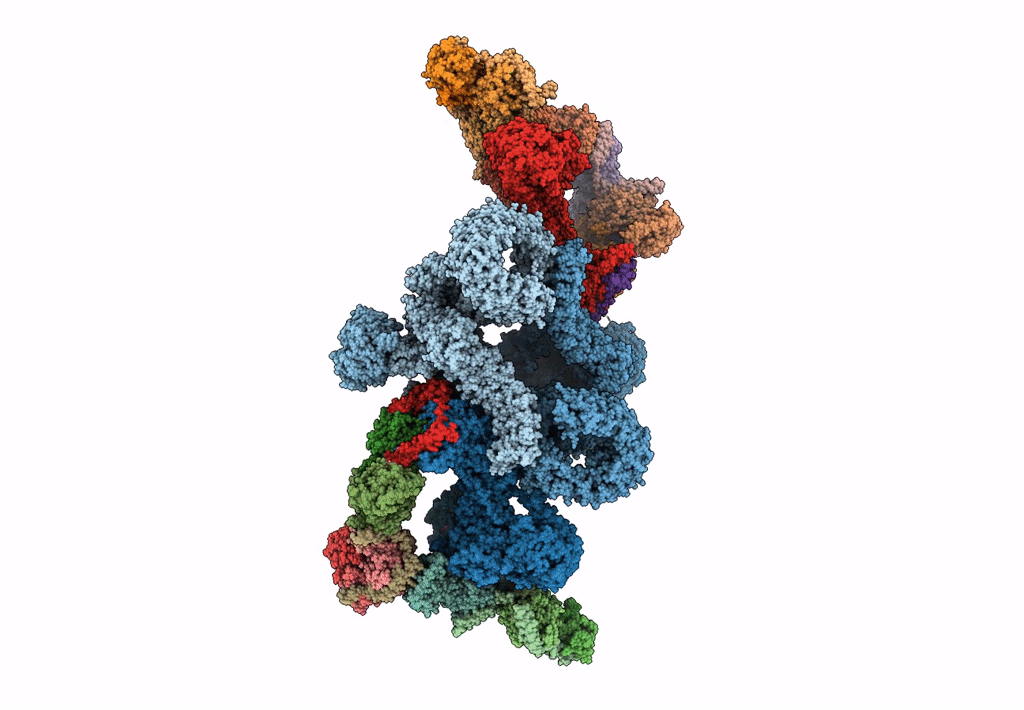 7UXH image
