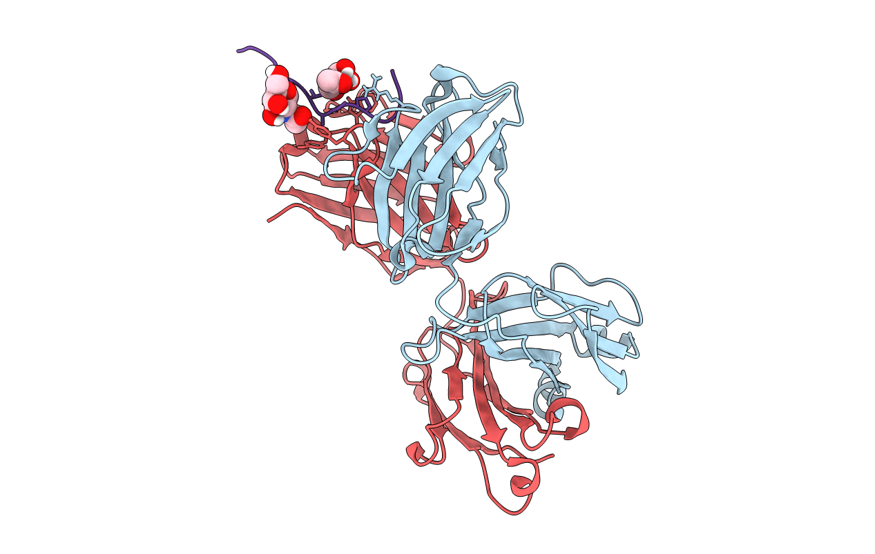 7V7K image