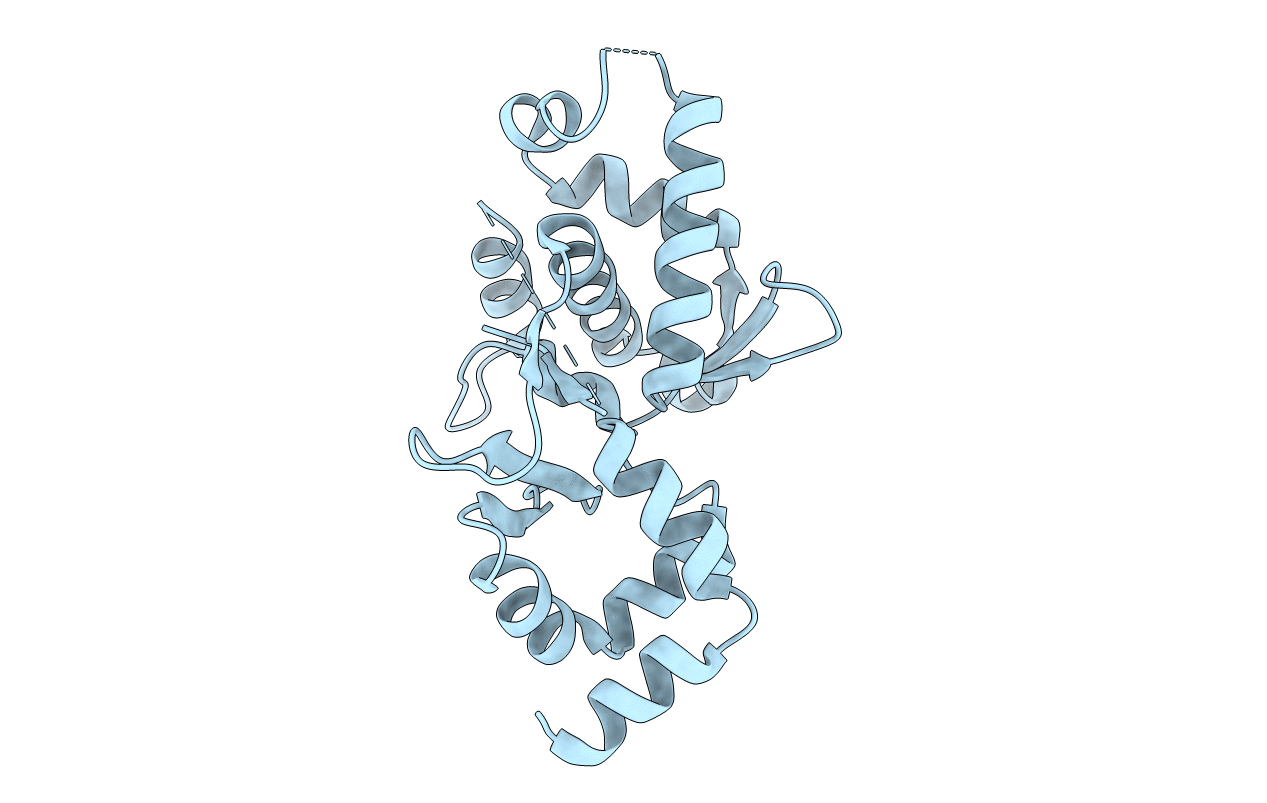 7V8P image