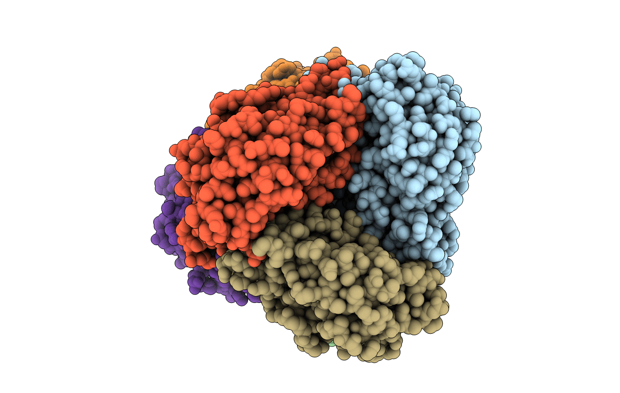 7V8T image