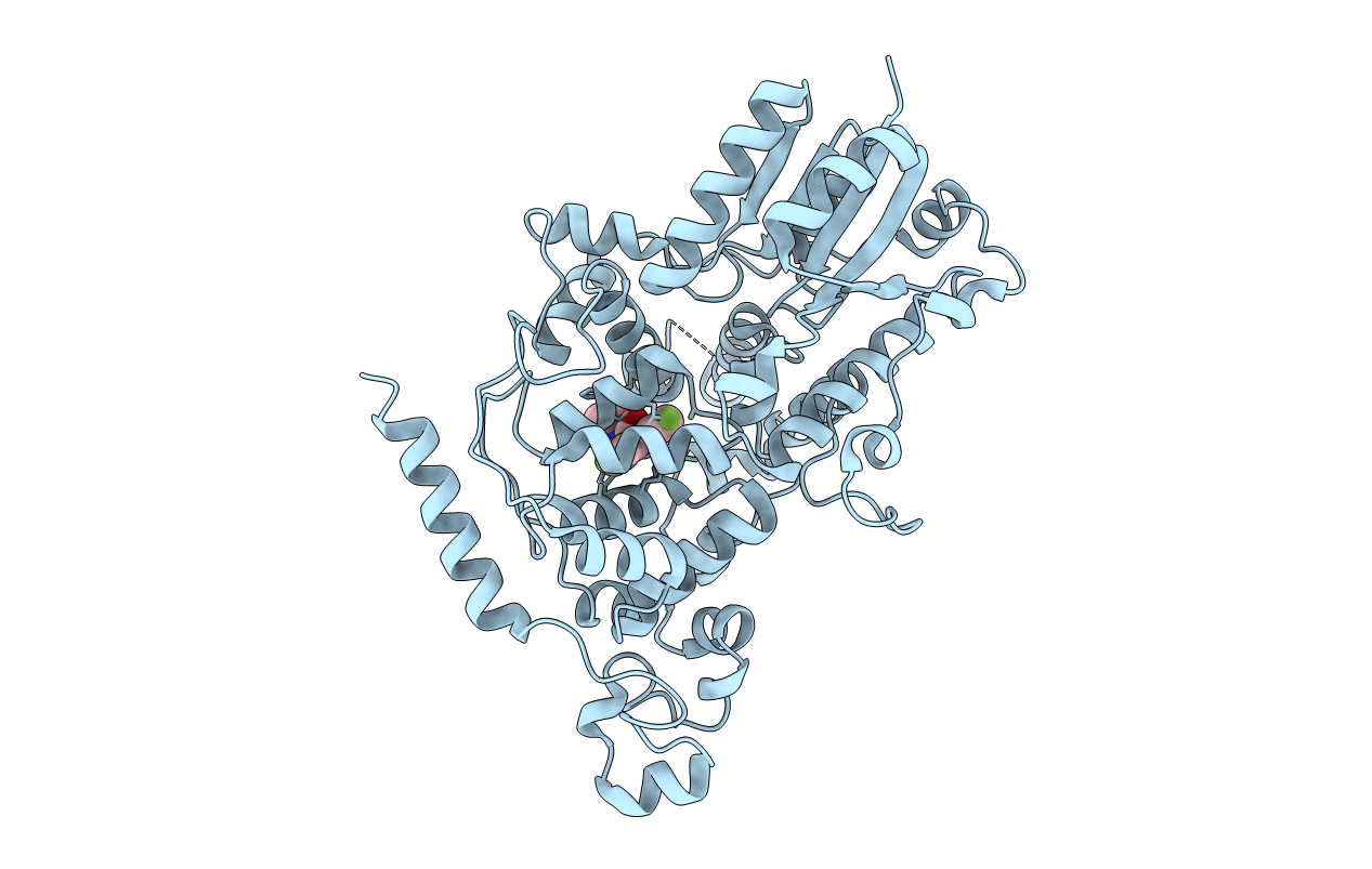 7V8Y image