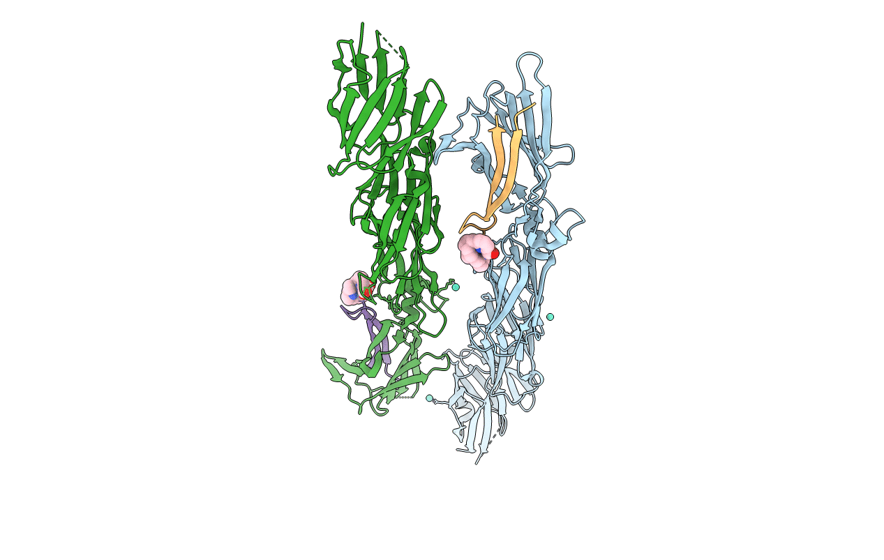 7VCN image