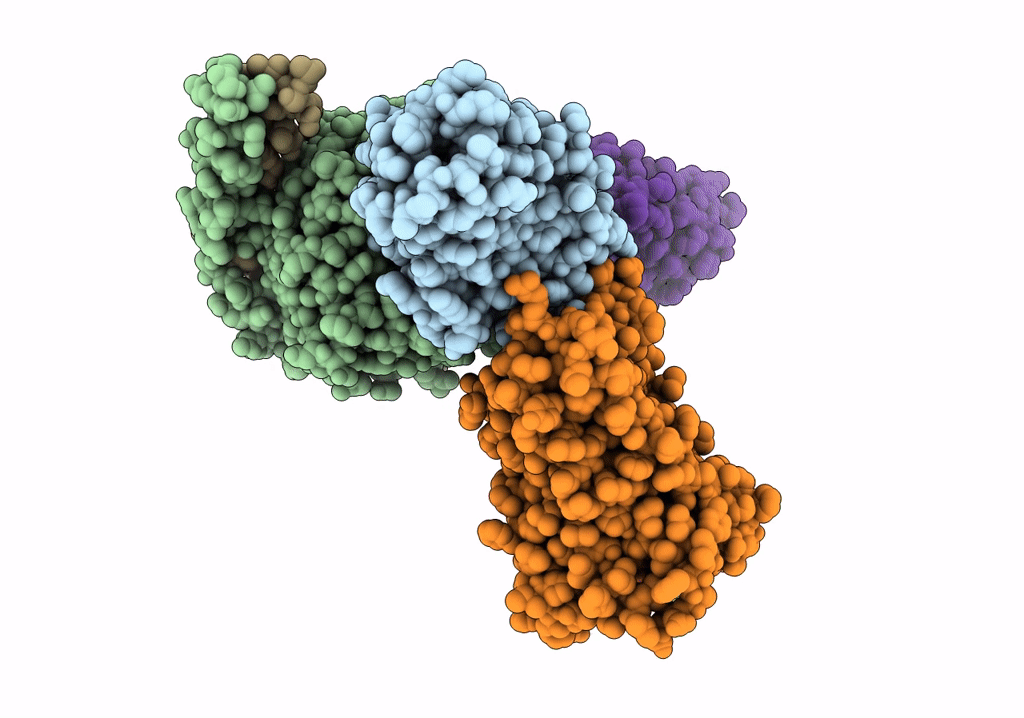 7VDL image