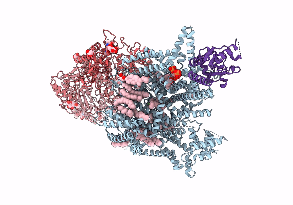7VFS image