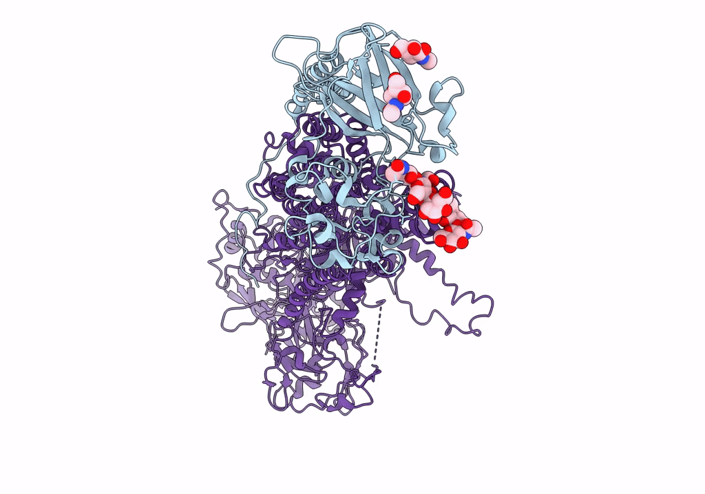 7VGI image