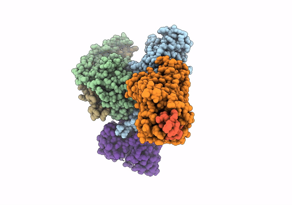 7VGX image