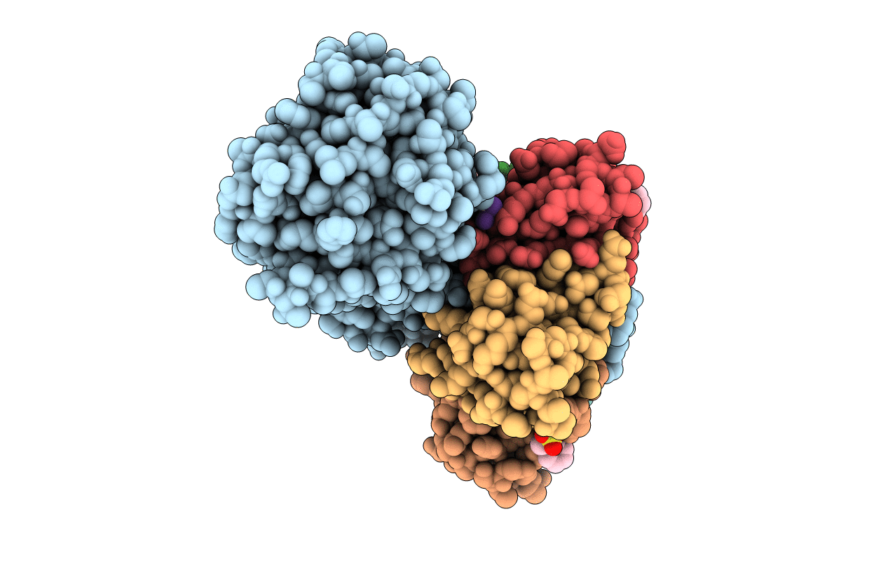 7VHC image