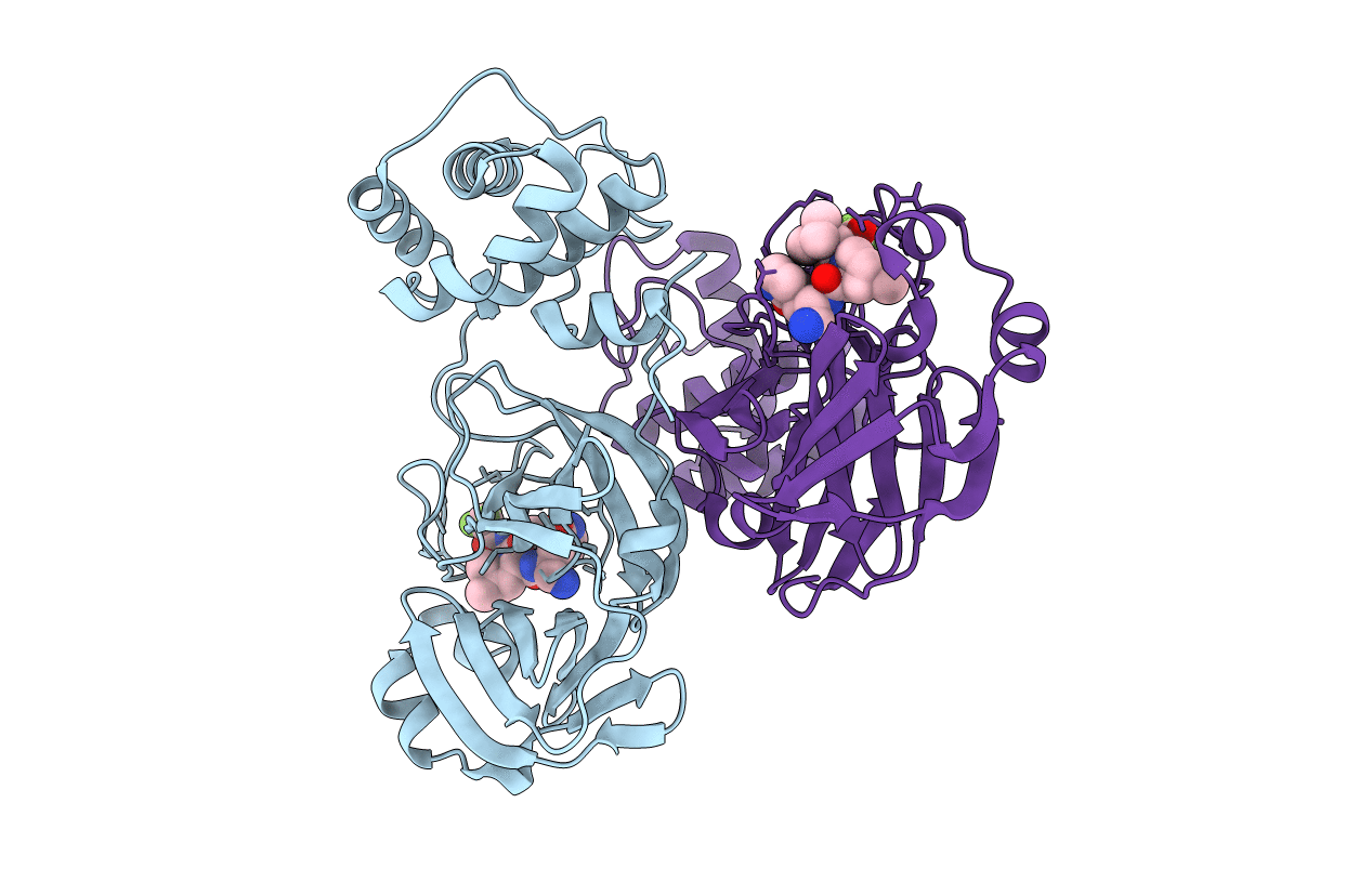 7VLP image