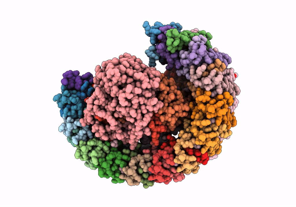 7VNM image