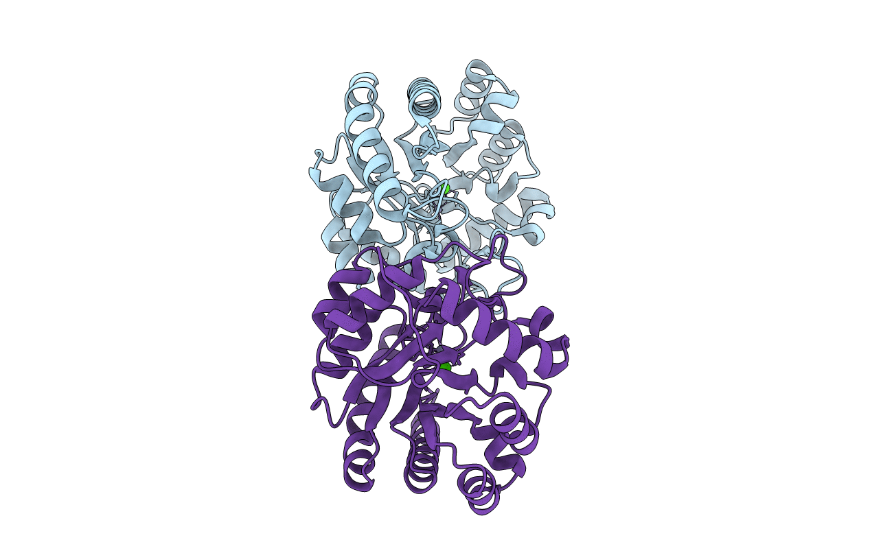 7VPF image