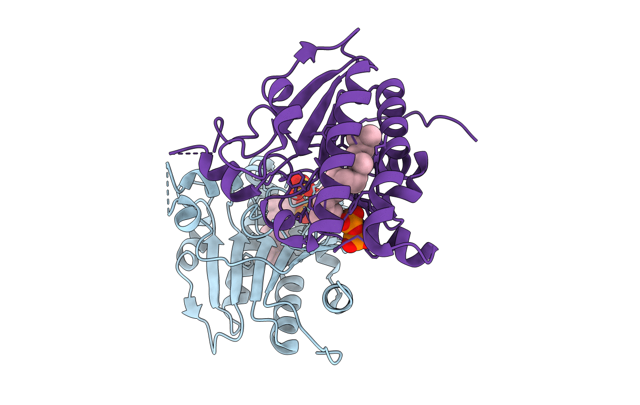 7VQD image