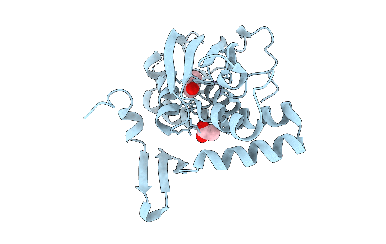 7VQF image