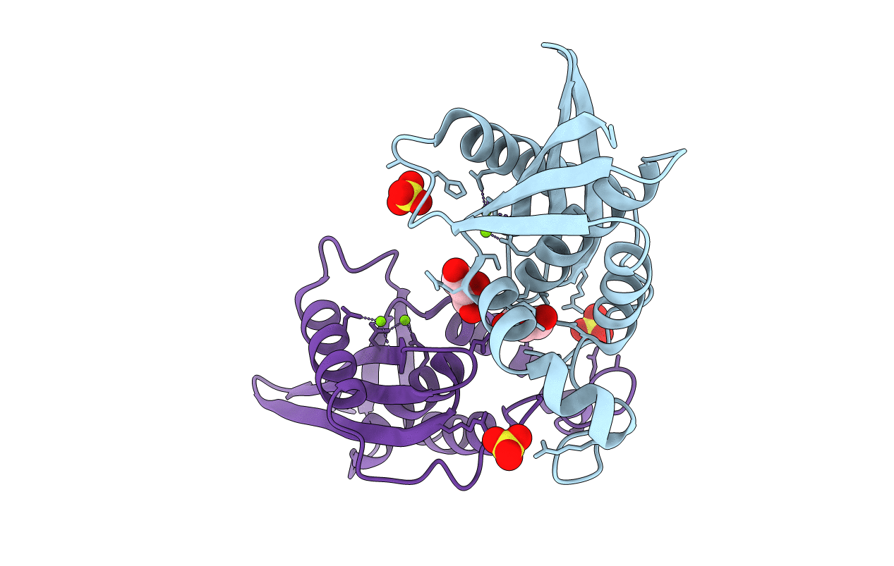 7VSA image