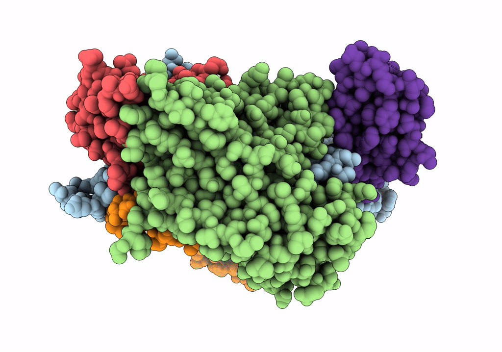 7VYL image