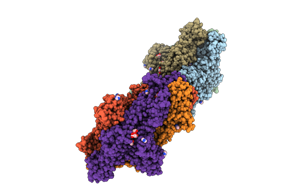 7W1C image