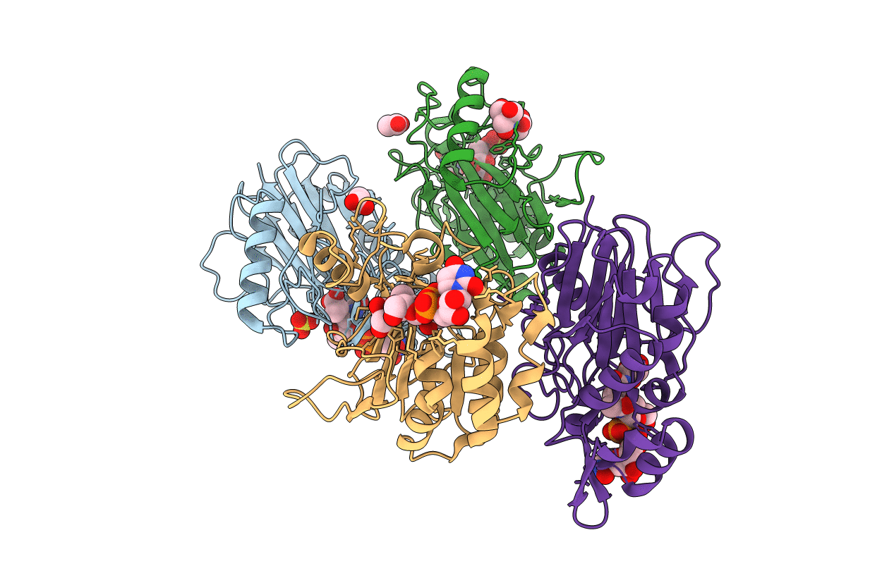 7W1G image