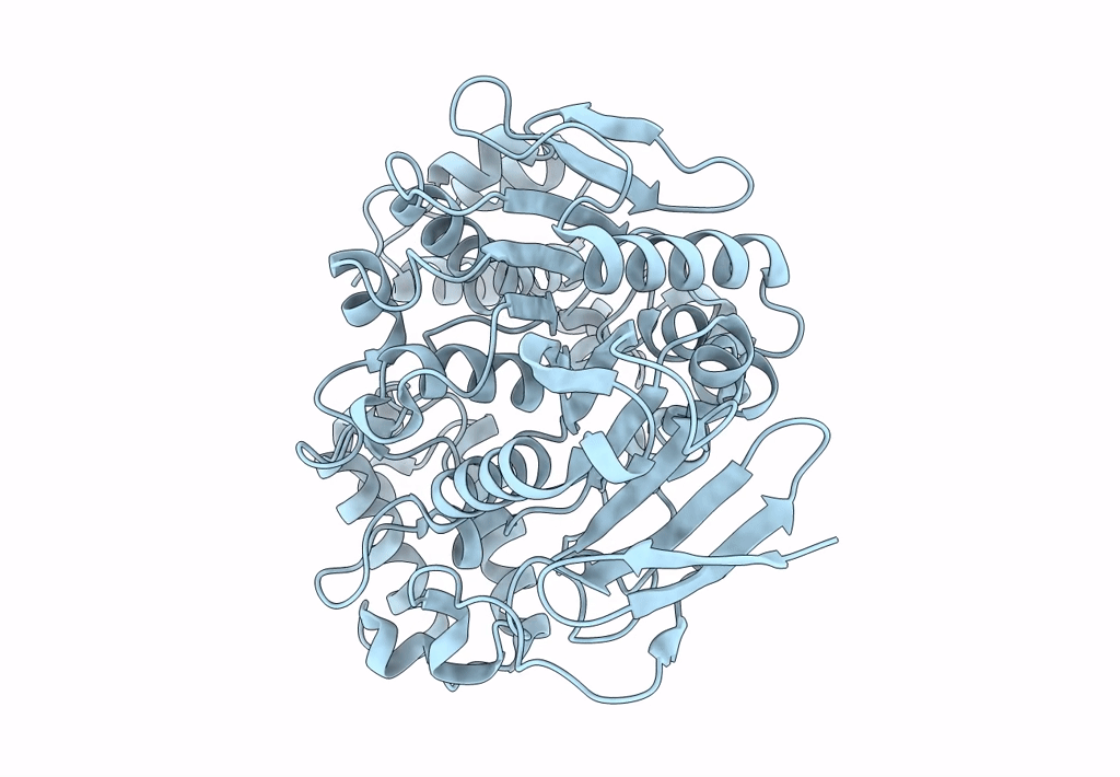 7W1K image