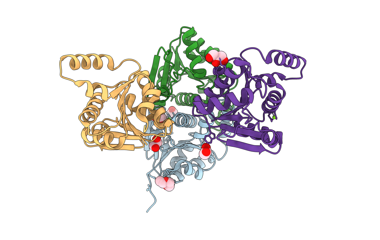 7W2I image