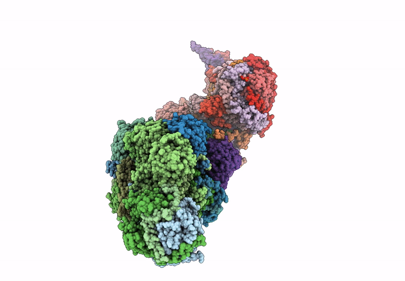 7W2K image