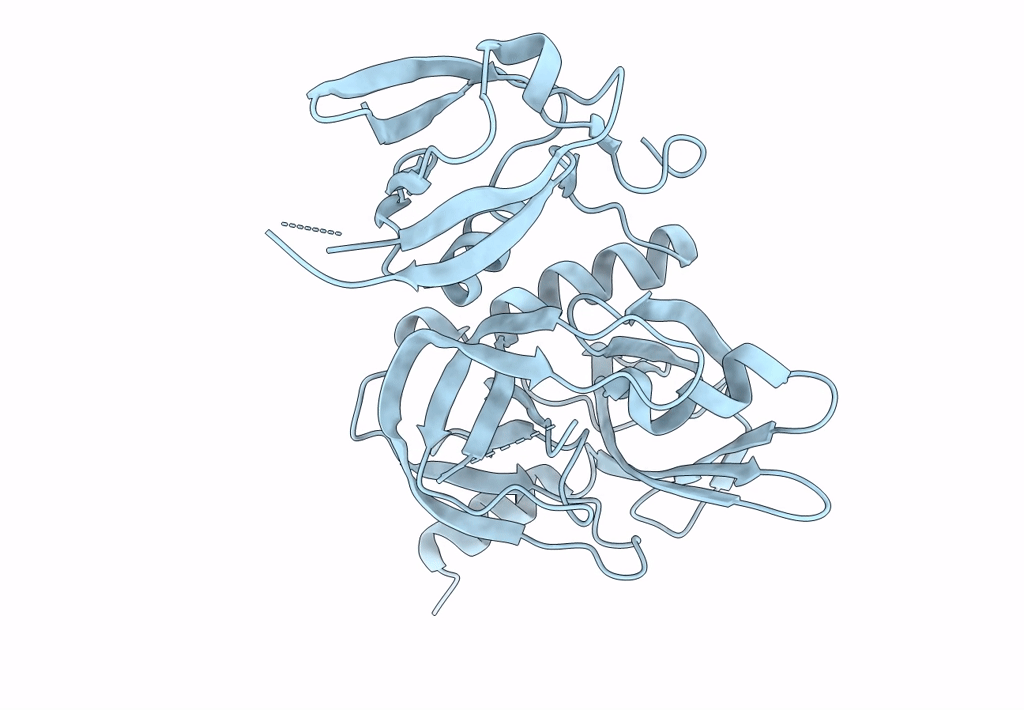 7W4W image