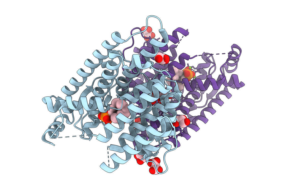 7W5I image