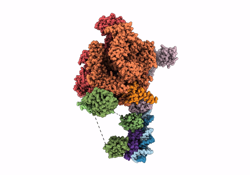 7W5X image