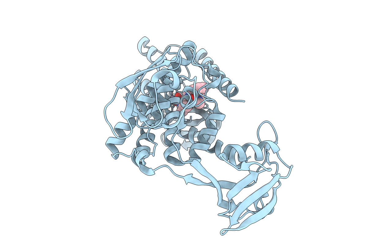 7W6X image