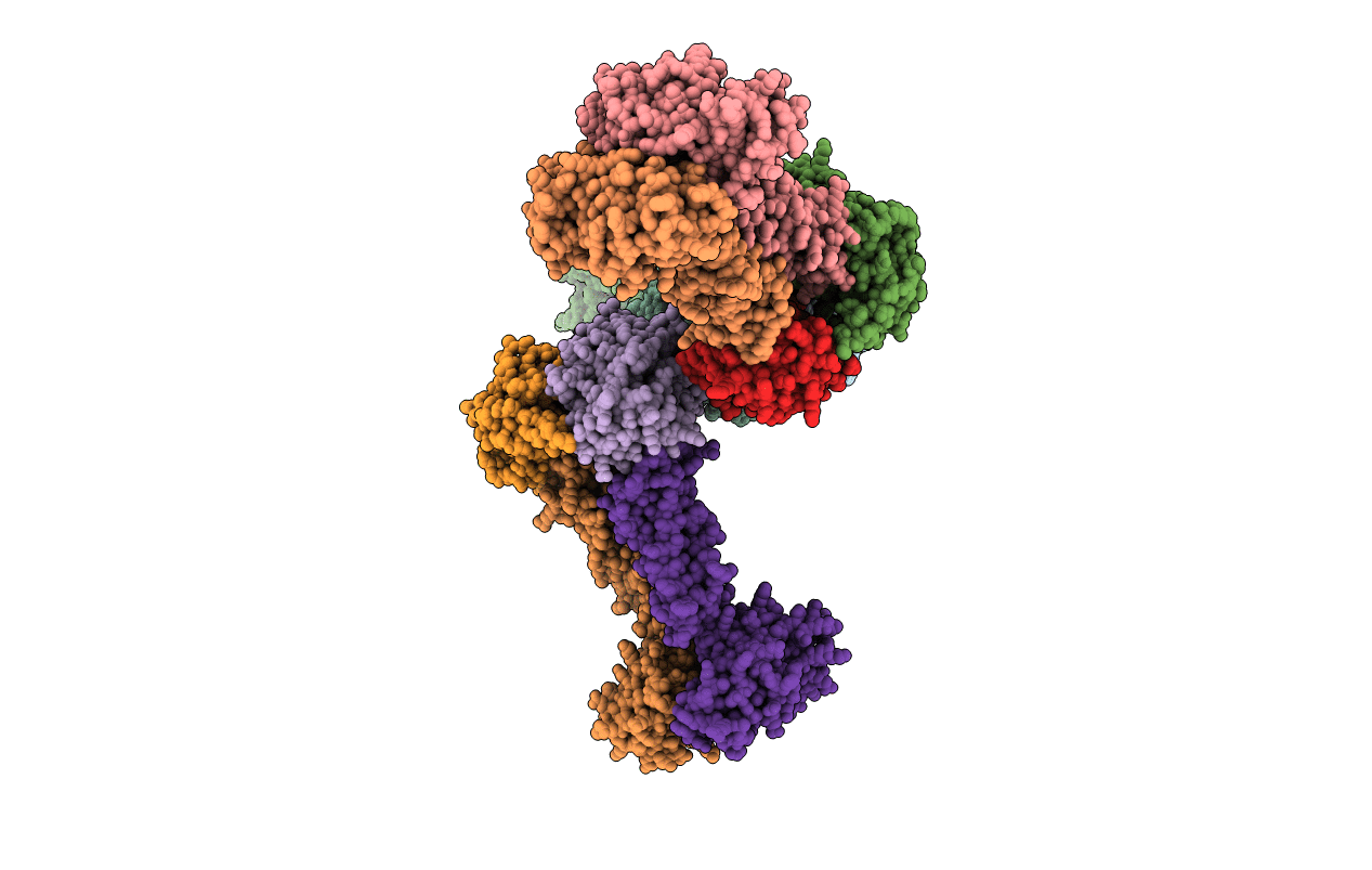 7W7D image