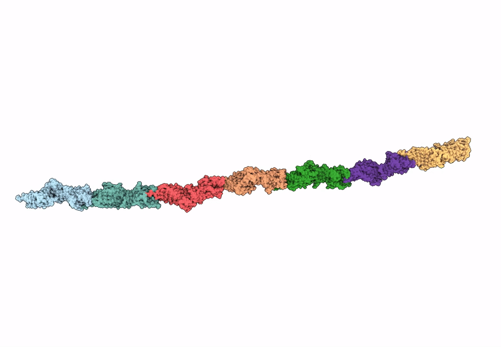 7W7I image