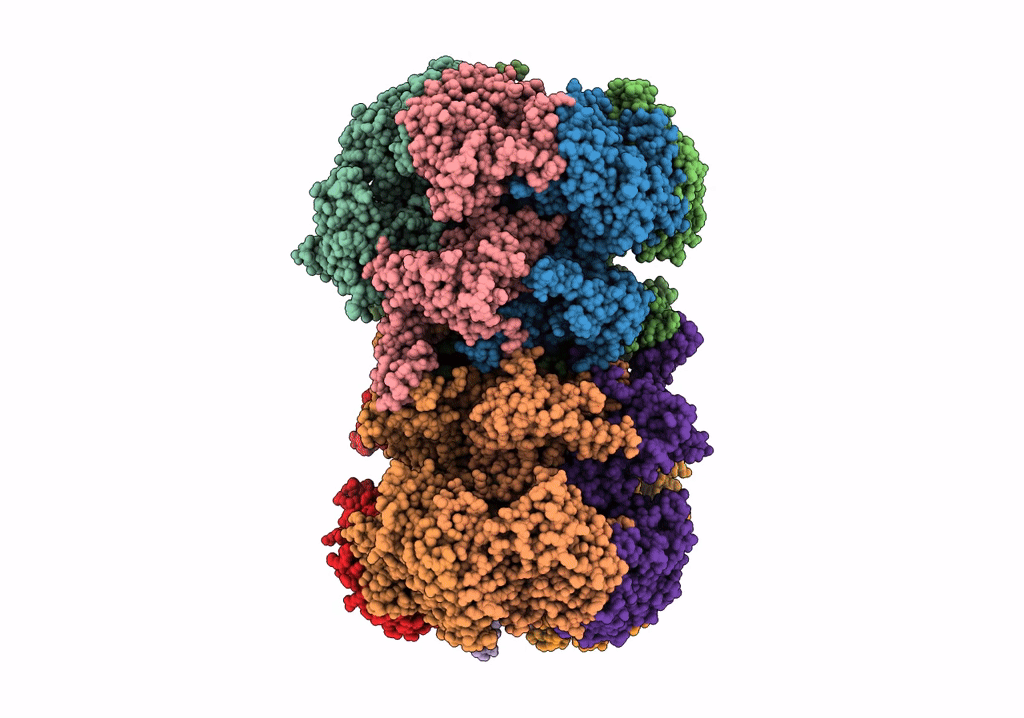 7W8G image