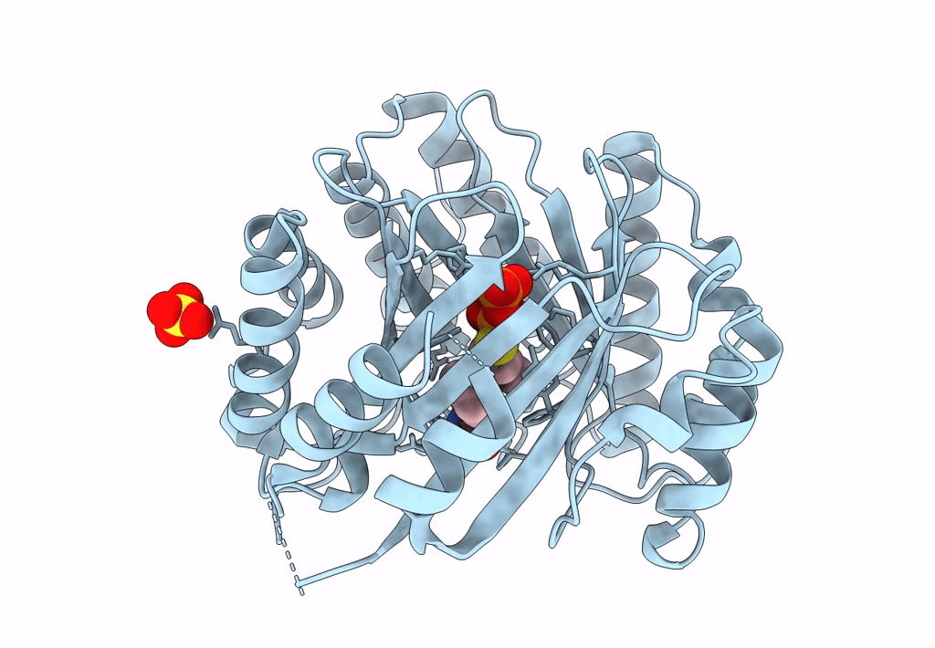 7W8V image