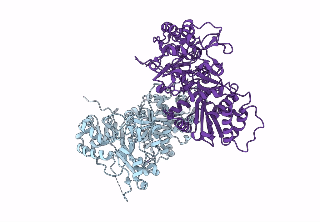 7WFX image