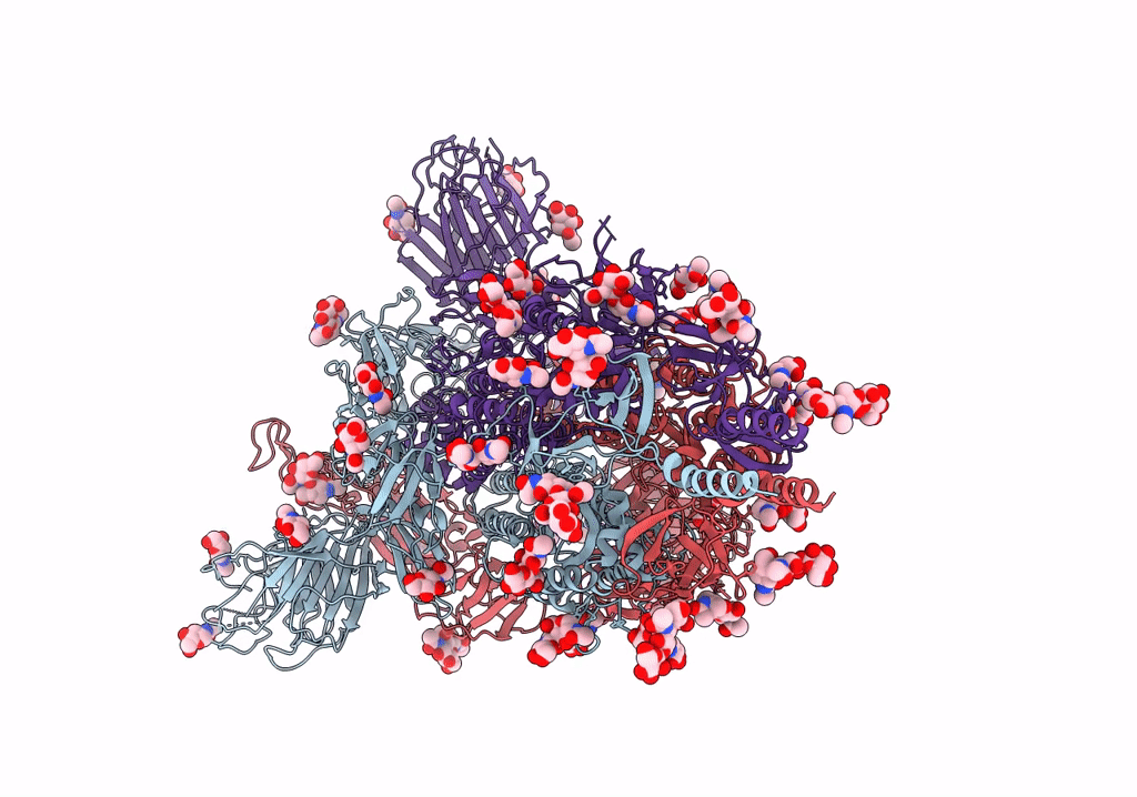 7WG6 image