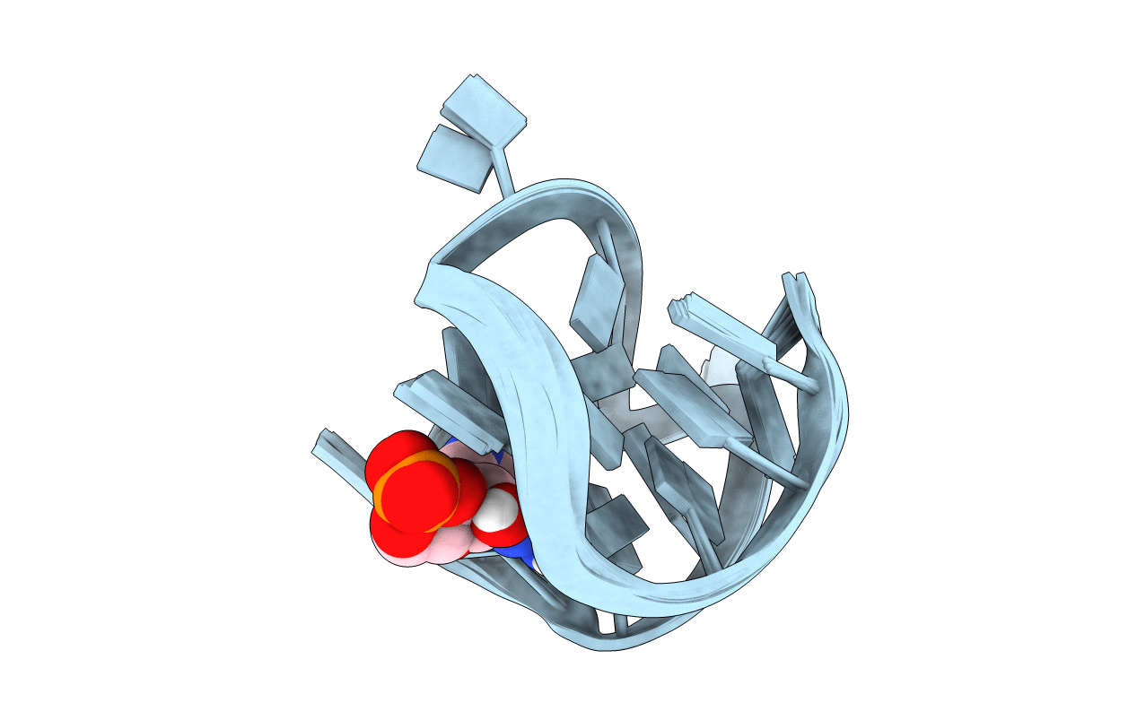 7WGW image