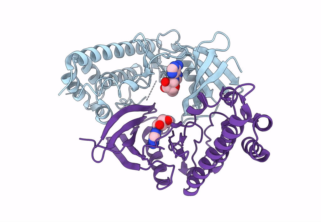 7WJ7 image